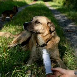 Alodis Care - Complément alimentaire liquide Cani & Cat Complexe pour chien et chat