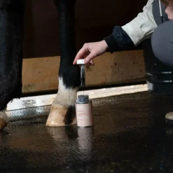 Alodis Care - Fourchette Clean