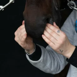 Best Alodis Care - Gel Focus Control naseaux stress