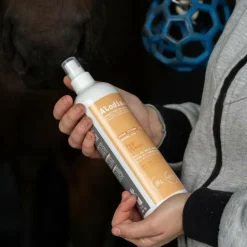 Alodis Care - Spray assainissant Top Clean