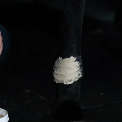 Alodis Care - Tendi Flash Argile récupération sportive Online