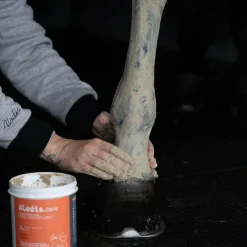 Alodis Care - Tendi Flash Argile récupération sportive Online