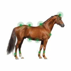 Sale Animaderm - Crème dermite estivale pour peau fine Derfen original