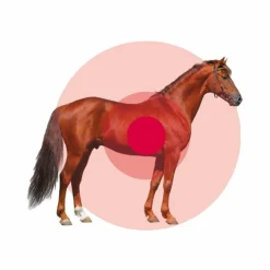 Discount Animaderm - Crème réparatrice Cutene