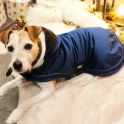 Anna Scarpati - Couverture pour chien zephir 0g Bleu Hot