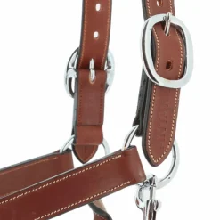 Antarès Sellier - Licol doublé cuir marron/ camel Discount