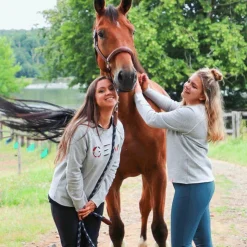 Online Antarès Sellier - Licol doublé cuir marron