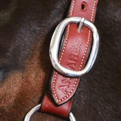 Online Antarès Sellier - Licol doublé cuir marron