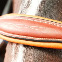 Online Antarès Sellier - Licol doublé cuir marron