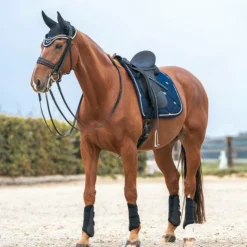 Back On Track - Bonnet pour cheval Night / bleu noble Noir New