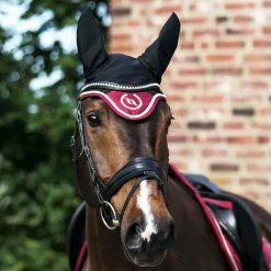 Back On Track - Bonnet pour cheval Night / rouge Noir New