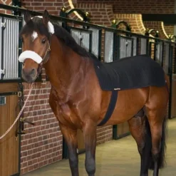 Back On Track - Chauffe-dos Back Warmer Royal Noir