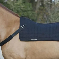 Back On Track - Chauffe-dos Back Warmer Royal Noir