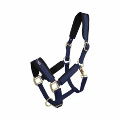 Discount Back On Track - Licol Werano Bleu