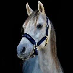 Discount Back On Track - Licol Werano Bleu