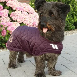 Back On Track - Manteau chien Night 0g Bordeaux Discount