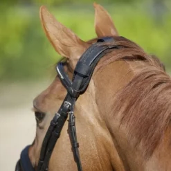 Back On Track - Protège-nuque Noir Clearance