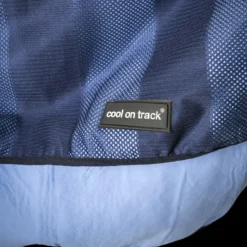 Back On Track - Serviette rafraichissante Bleu Best