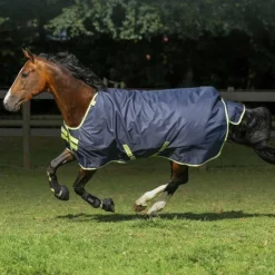 Bucas - Couverture d'extérieur Oasis Turnout 100 / lime 100g Gris New