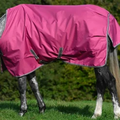 Bucas - Couverture d'extérieur Freedom Turnout 300 rasberry 300g Bordeaux Clearance