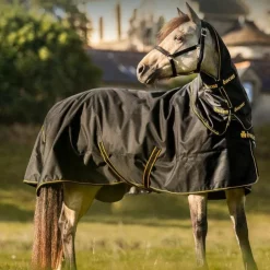 Hot Bucas - Couverture d'extérieur Irish Turnout 100 / gold 100g Noir