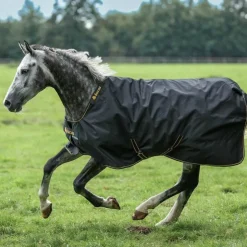 Hot Bucas - Couverture d'extérieur Irish Turnout 100 / gold 100g Noir