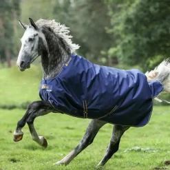 Discount Bucas - Couverture d'extérieur Irish Turnout 150 / gold 150g Marine