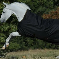 Bucas - Couverture d'extérieur Irish Turnout 300 High Neck / gold 300g Noir Clearance