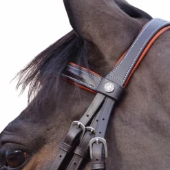 Sale Canter - Bridon Alme têtière anatomique marron Havane