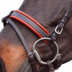 Sale Canter - Bridon Alme têtière anatomique marron Havane