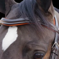 Sale Canter - Bridon Alme têtière anatomique marron Havane