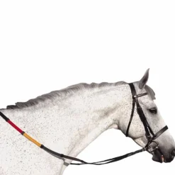 Canter - Bridon éducatif Club avec rênes Discount