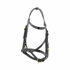 Hot Canter - Bridon licol cheval large Noir