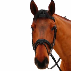 Sale Canter - Bridon muserolle croisée Mylord / Noir