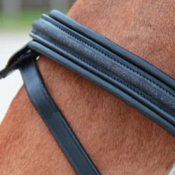 Sale Canter - Bridon muserolle croisée Mylord / Noir