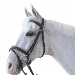 Canter - Bridon Ornella avec rênes marron Havane Best