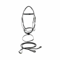 Canter - Bridon Plat doublé avec rênes Noir Clearance