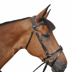 Canter - Bridon rose gold avec rênes Noir Online