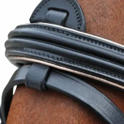 Canter - Bridon rose gold avec rênes Noir Online