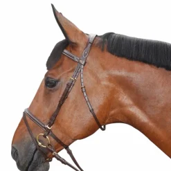 Clearance Canter - Bridon Surpiqué combiné avec rênes marron Havane