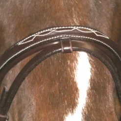 Clearance Canter - Bridon Surpiqué combiné avec rênes marron Havane