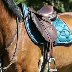New Canter - Collier de chasse surpiqué Marron