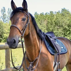 New Canter - Collier de chasse surpiqué Marron