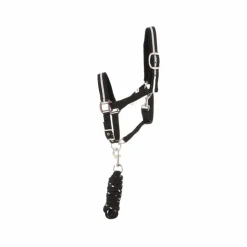 New Canter - Licol et longe nylon noir / argent