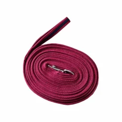 Hot Canter - Longe à tourner Bordeaux