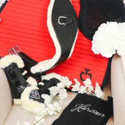 Outlet Canter - Sangle anatomique mouton Noir