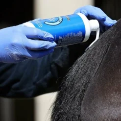 Carr & Day & Martin - Lotion Killitch dermite estivale