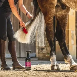 Outlet Carr & Day & Martin - Lotion crinière et queue Canter