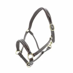 Chetak - Licol cheval Bright cuir doublé Marron New