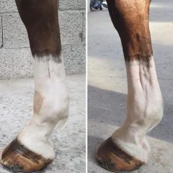 Cura Naturale - Argile après effort Hot